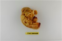 藏品(三宅紋寄居蟹)的圖片